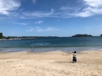 IMG_0446.jpg