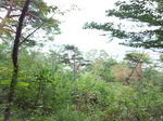 IMG_20140904_092309.jpg