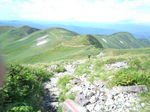 IMG_20140907_100830.jpg