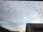 IMG_20140916_053113.jpg