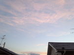 IMG_20140917_051152.jpg