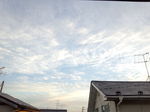 IMG_20140917_053430.jpg
