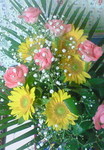 image0830.jpg