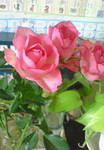 image05201.jpg